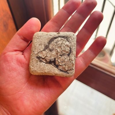 Snapinsta.app_452230075_1655692335_1080